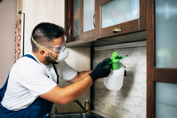 Reliable Leola, PA Pest Control Solutions