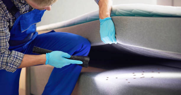 Best Local Pest Control Services  in Leola, PA