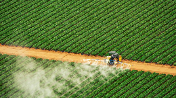 Best Pest Removal Services  in Leola, PA