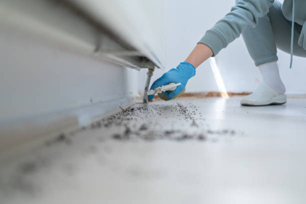 Best Cockroach Control Services  in Leola, PA