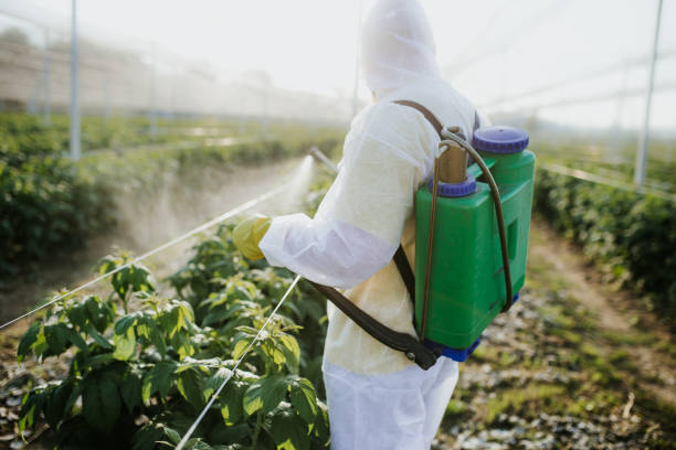 Best Pest Prevention Services  in Leola, PA